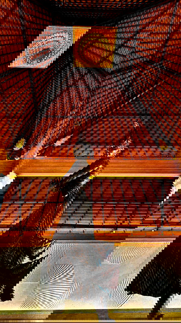 taylor.creeden taylor.creeden archive image