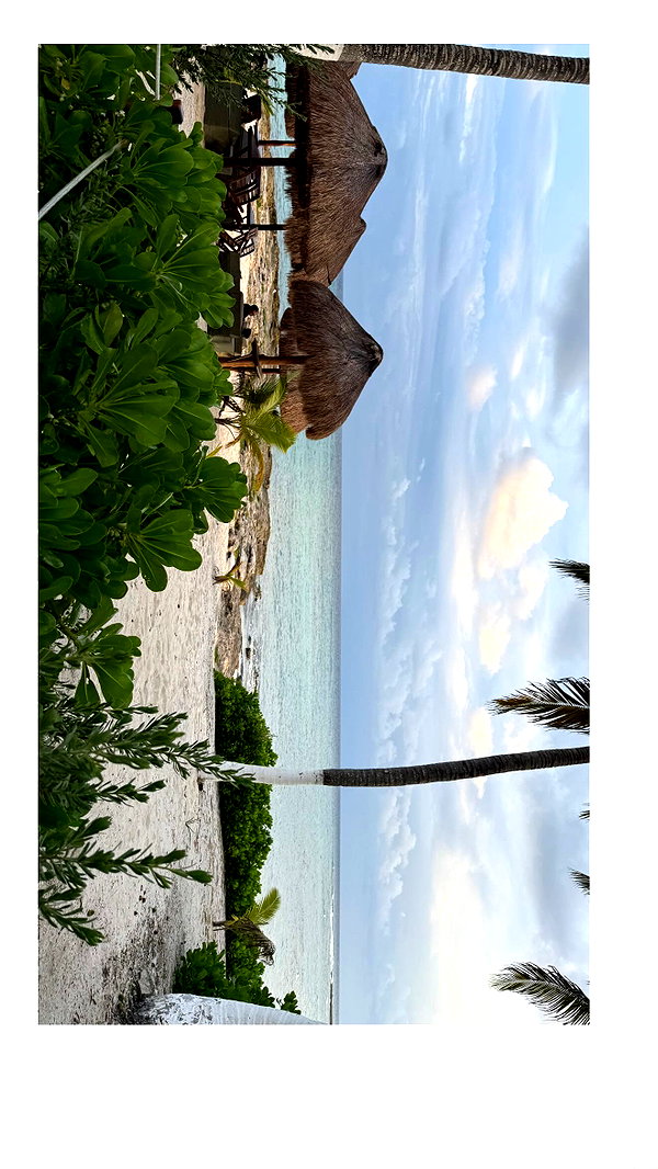 agamohanaa instagram image archive image