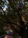 danamrts Altpins Profile Picture