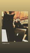 nishymoon_ Altpins Profile Picture