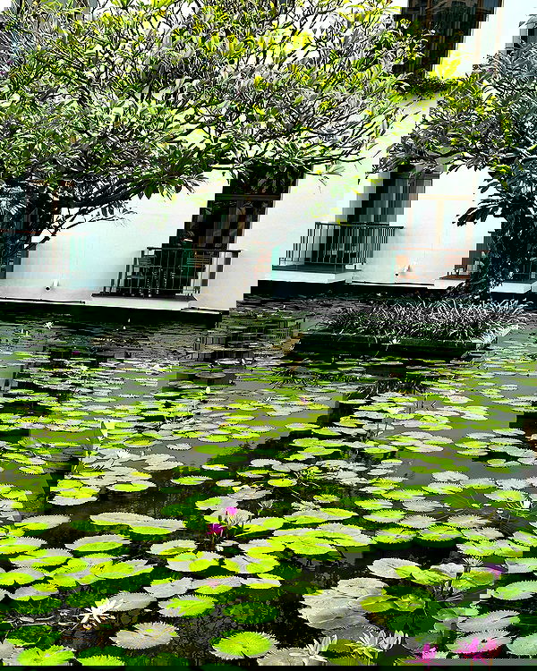 taylor.creeden taylor.creeden archive image