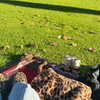 jtilb2 Altpins Profile Picture