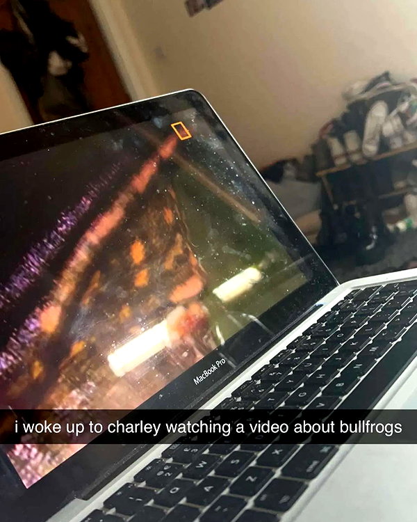 charley.chambers instagram image archive image