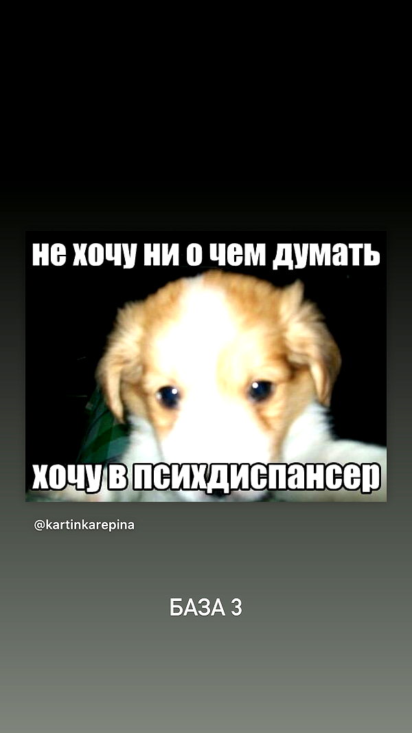 daryanedarya instagram image archive image