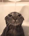 1kyle8_ Altpins Profile Picture