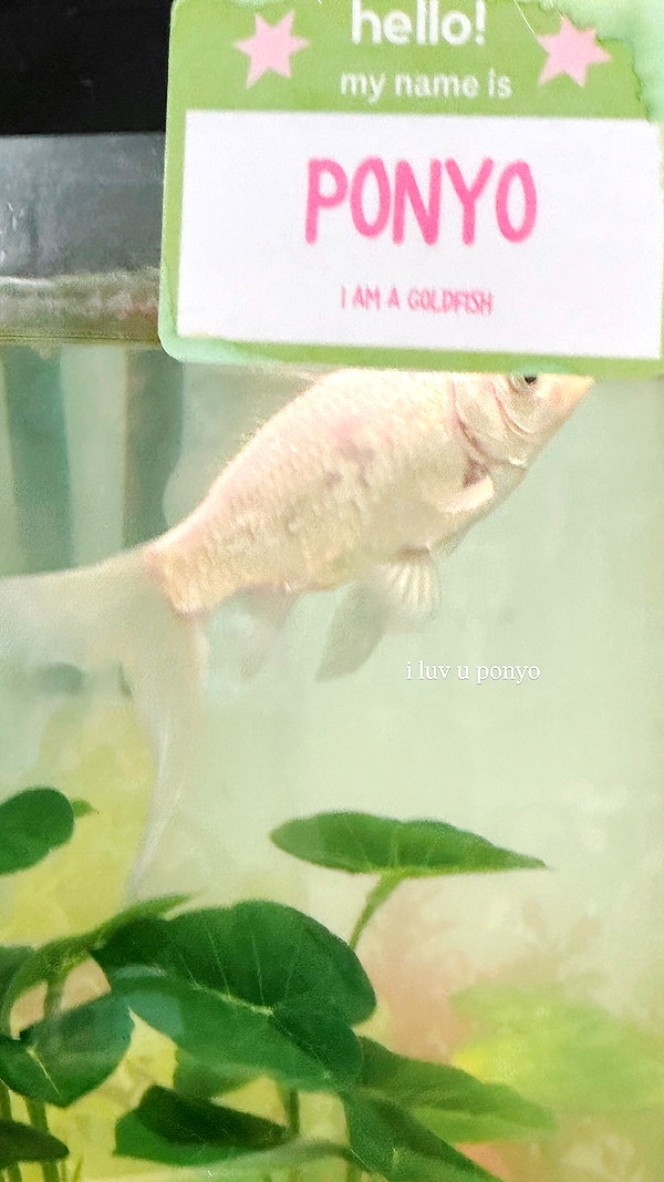 1uvgabi instagram image archive image