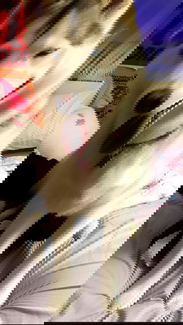 dracuina image ~ Altpins