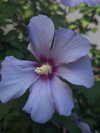 mariagabrielasantos Altpins Profile Picture
