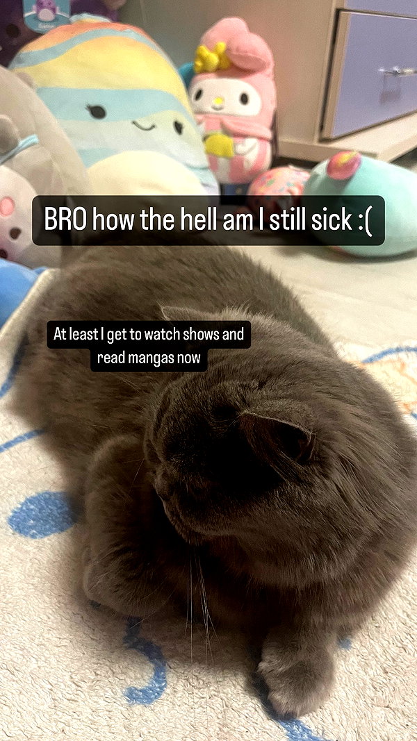 chibinekopurr instagram image archive image