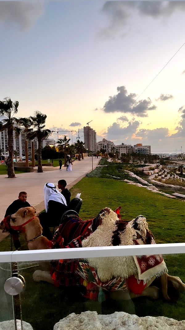 yaelxyazdi instagram image archive image