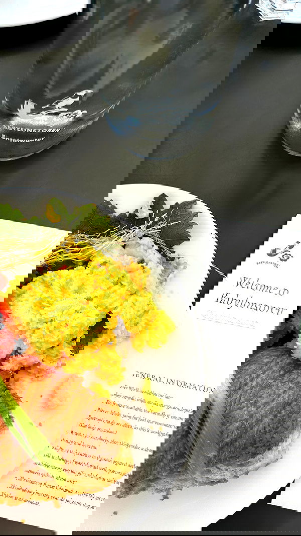 taylor.creeden taylor.creeden archive image