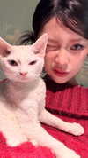 jiw_____n Altpins Profile Picture