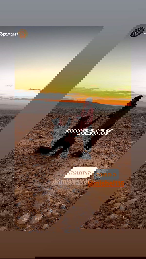 mishel116 mishel116 archive image