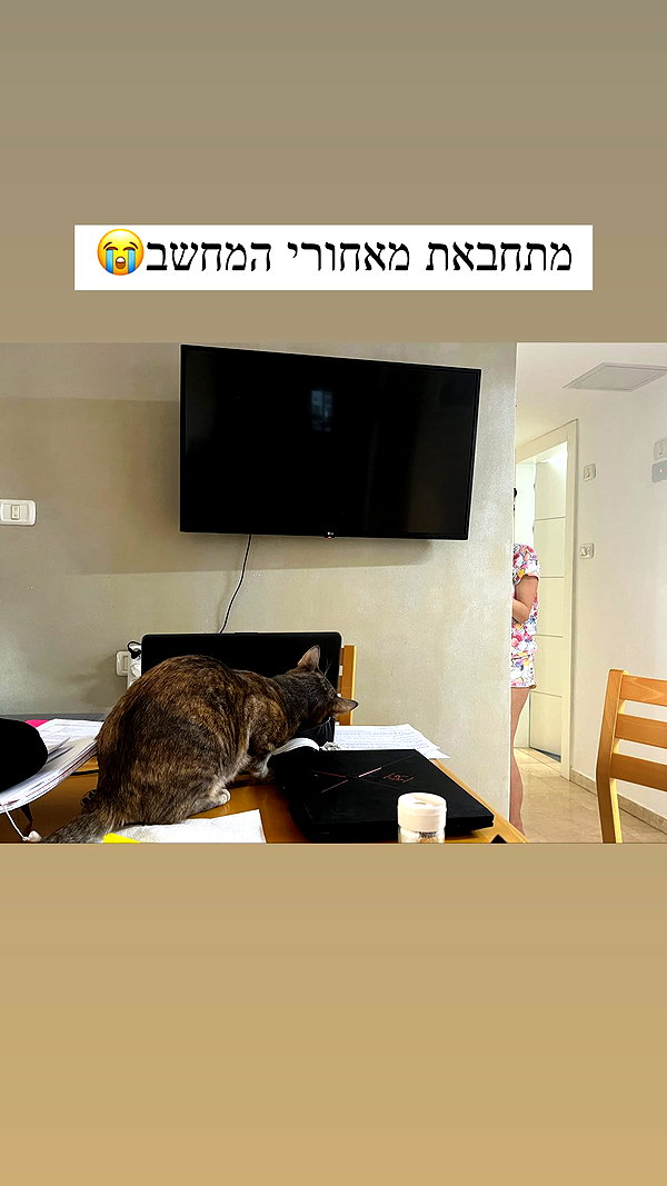 Archived image from @notchicore on Instagram