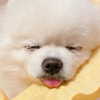 dear.zia Altpins Profile Picture