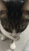 dante_yangpa Altpins Profile Picture
