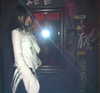djbabysosh Altpins Profile Picture