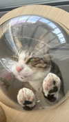 lila.garnik Altpins Profile Picture
