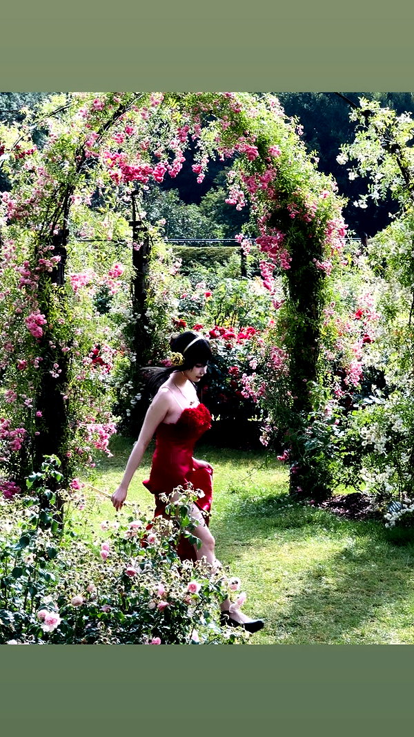 xier_cos xier_cos archive image