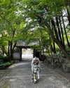 ll.lu1s Altpins Profile Picture