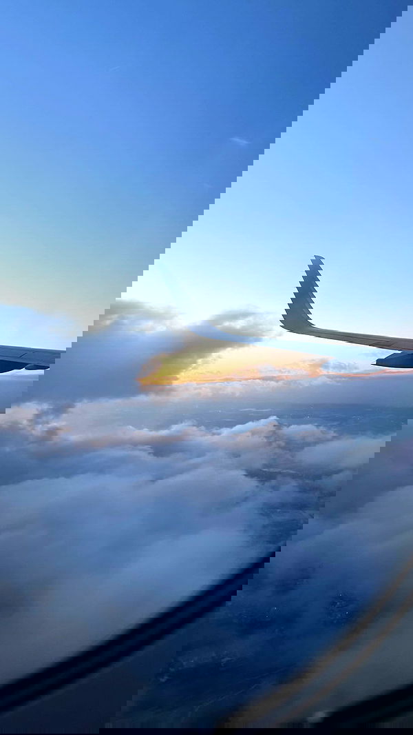 biton__adi biton__adi archive image