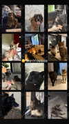 karin_orhov Altpins Profile Picture