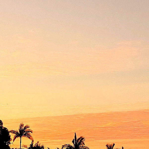 sophiebatzloff instagram image archive image