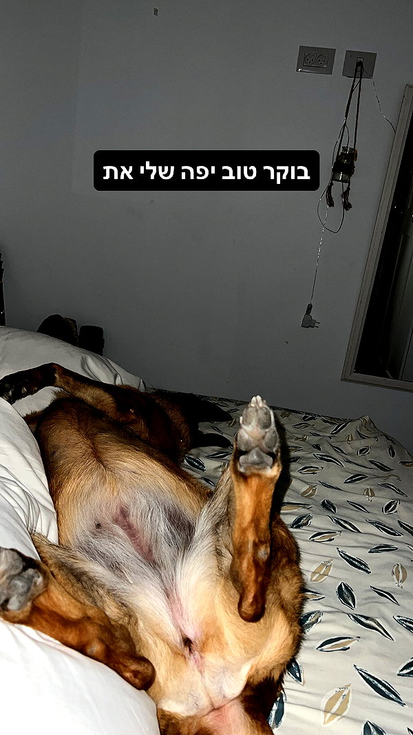 yuval_raz instagram image archive image
