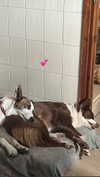 _broock_ Altpins Profile Picture