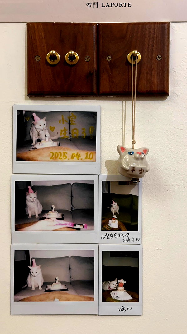ann.shellll instagram image archive image