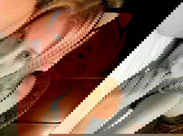 sofykil sofykil archive image