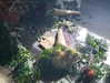 ash.onme Altpins Profile Picture