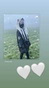blursed.co Altpins Profile Picture