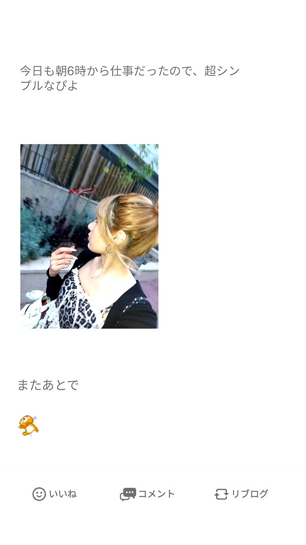 Archived image from @piyokoblog on Instagram