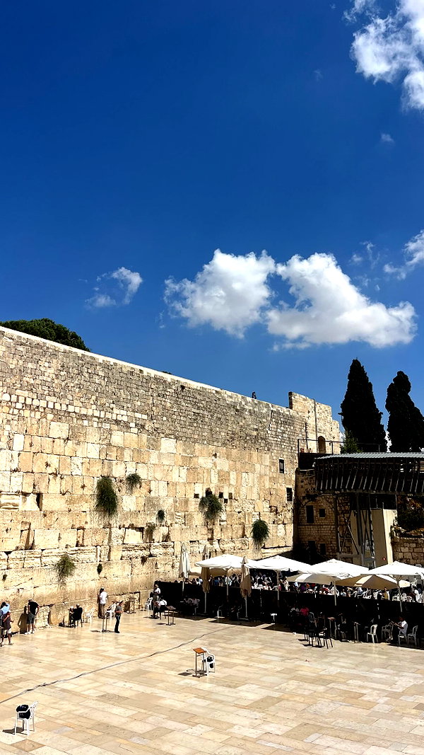 lishai_halevi instagram image archive image