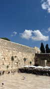 lishai_halevi Altpins Profile Picture