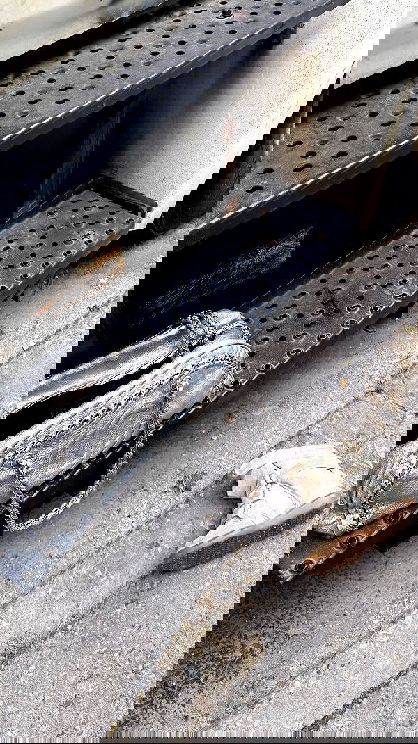 rchhhll rchhhll archive image