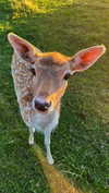 3xiiicom Altpins Profile Picture