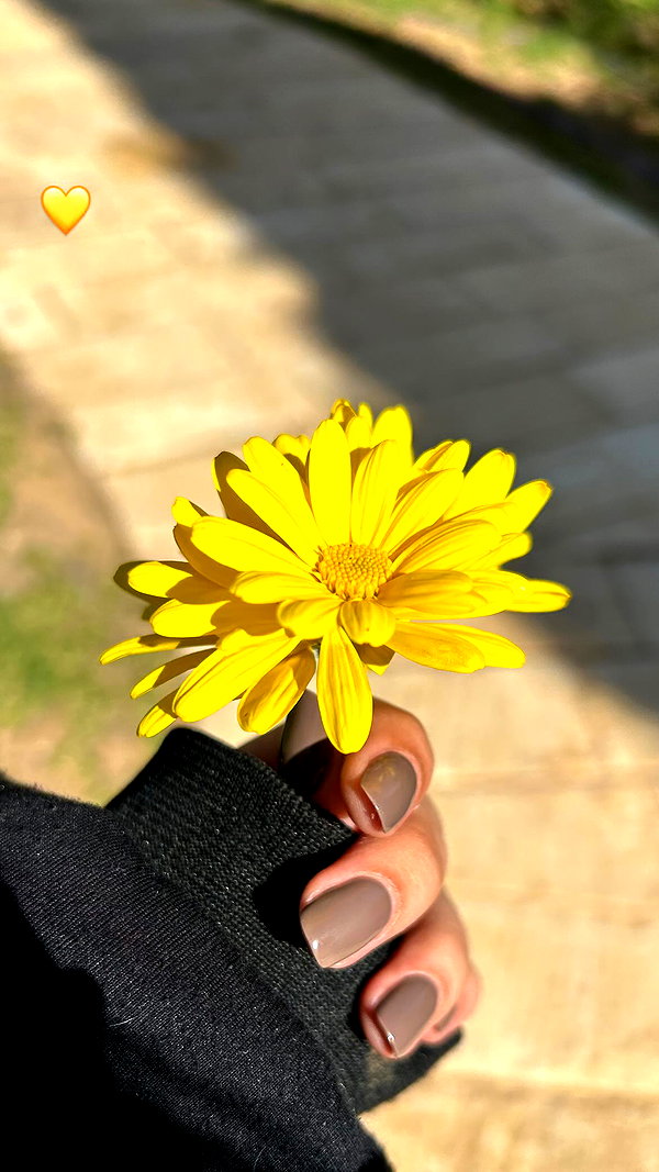 agam_nachman instagram image archive image