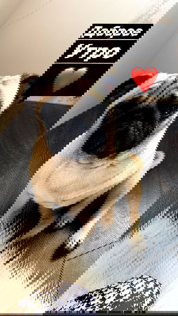 nyityam nyityam archive image