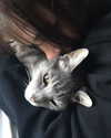 jahia_brown Altpins Profile Picture