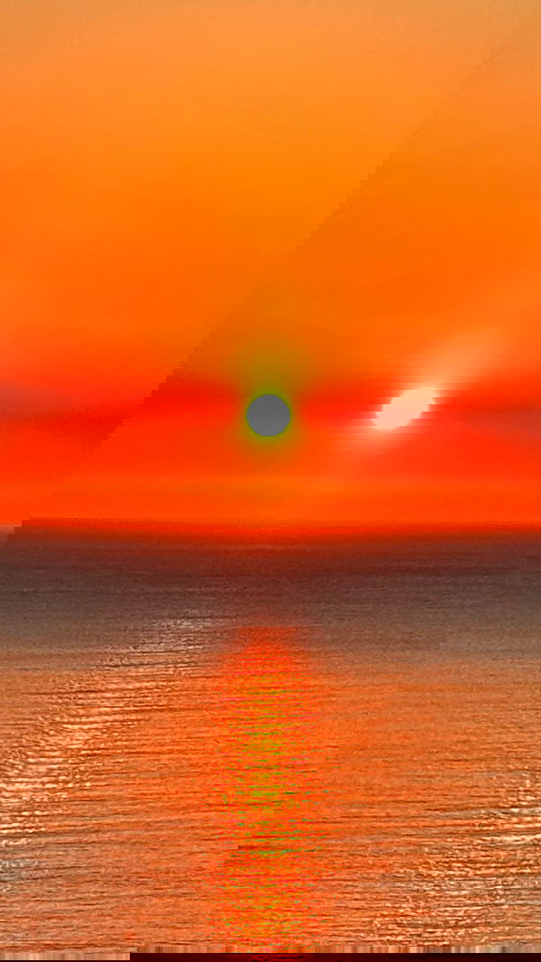 taylor.creeden taylor.creeden archive image