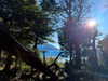 solzarubin_ Altpins Profile Picture