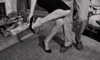 abigailgilat Altpins Profile Picture