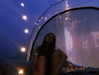 hollyjai Altpins Profile Picture