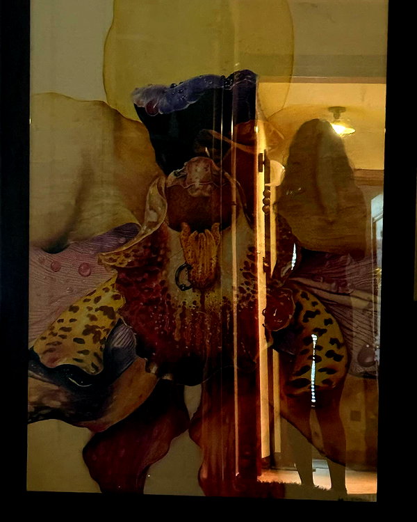 bad.toy instagram image archive image