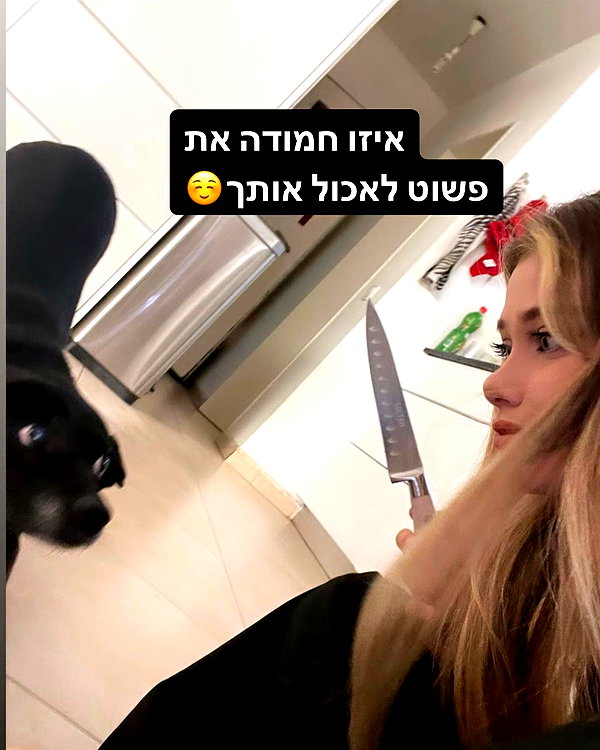 liliashaked instagram image archive image