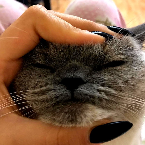 owlydiaa instagram image archive image