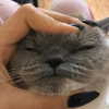 owlydiaa Altpins Profile Picture