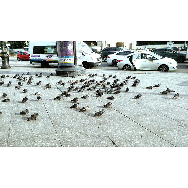 sychevskaya instagram image archive image